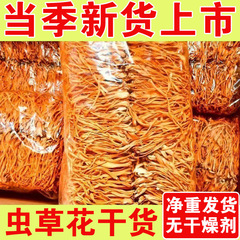 虫草花干物500g高山虫草花食用菌スープ胞子頭30gシチュー食材のおいしい栄養