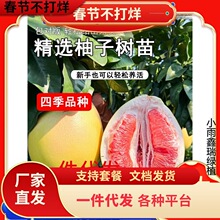 һ�����l���Ә�����t�����ּ޽ӏV����ɳ����ͥԺ�����������