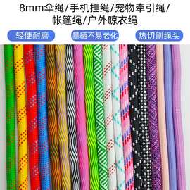 8mm涤纶包芯圆绳编织手机挂绳手工箱包背带宠物牵引绳加硅胶绳头