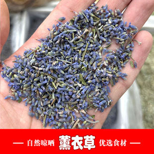 �½�����޹�²ݸɻ����l���ݲ����l޹�²�ԭ�����l