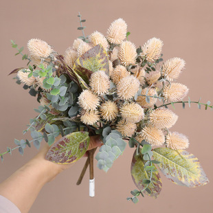 �羳�������ϻ����ľ������滨�ҾӲ����[���b��ܔzӰ�ٻ���