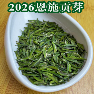 2026�²��ʩؕѿȸ����ѿ��ʩ����G���Լ��Ȳ��~�ͶY��Ʒ�ظ�