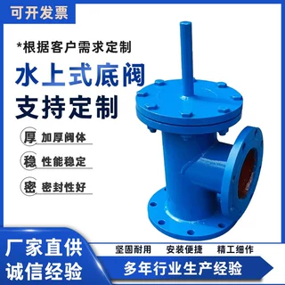 法兰水泵吸水进口底阀碳钢水上式底阀井底泵前止回阀水泵止回阀