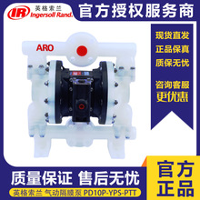 �F؛AROӢ�����mEXP1��ǽ��ٱ� PD10P-YPS-PTT���Ϛ�Ӹ�Ĥ��