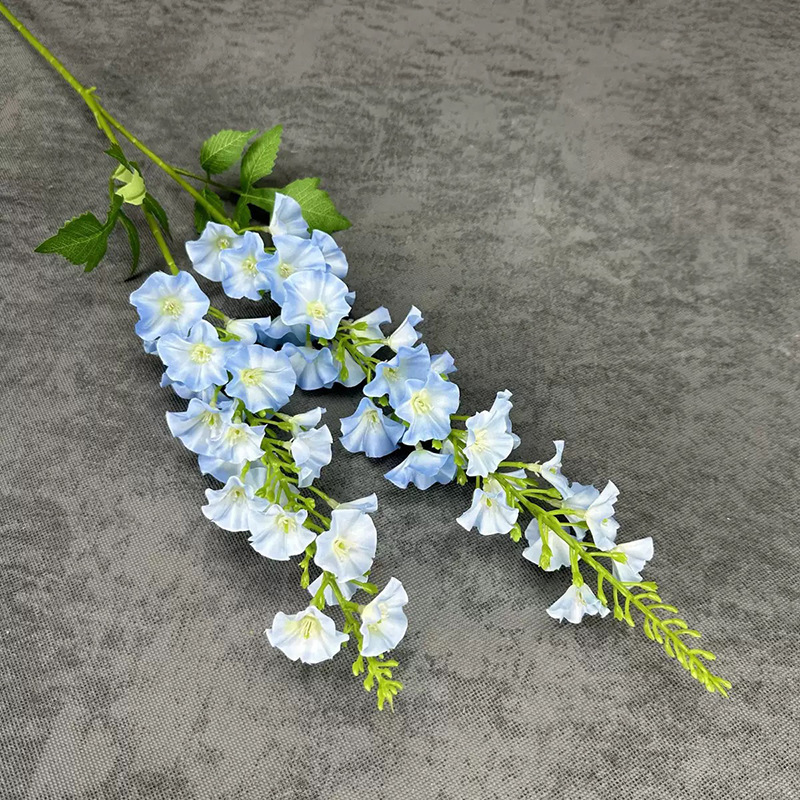 2 포크 Qianxun-라이트 블루