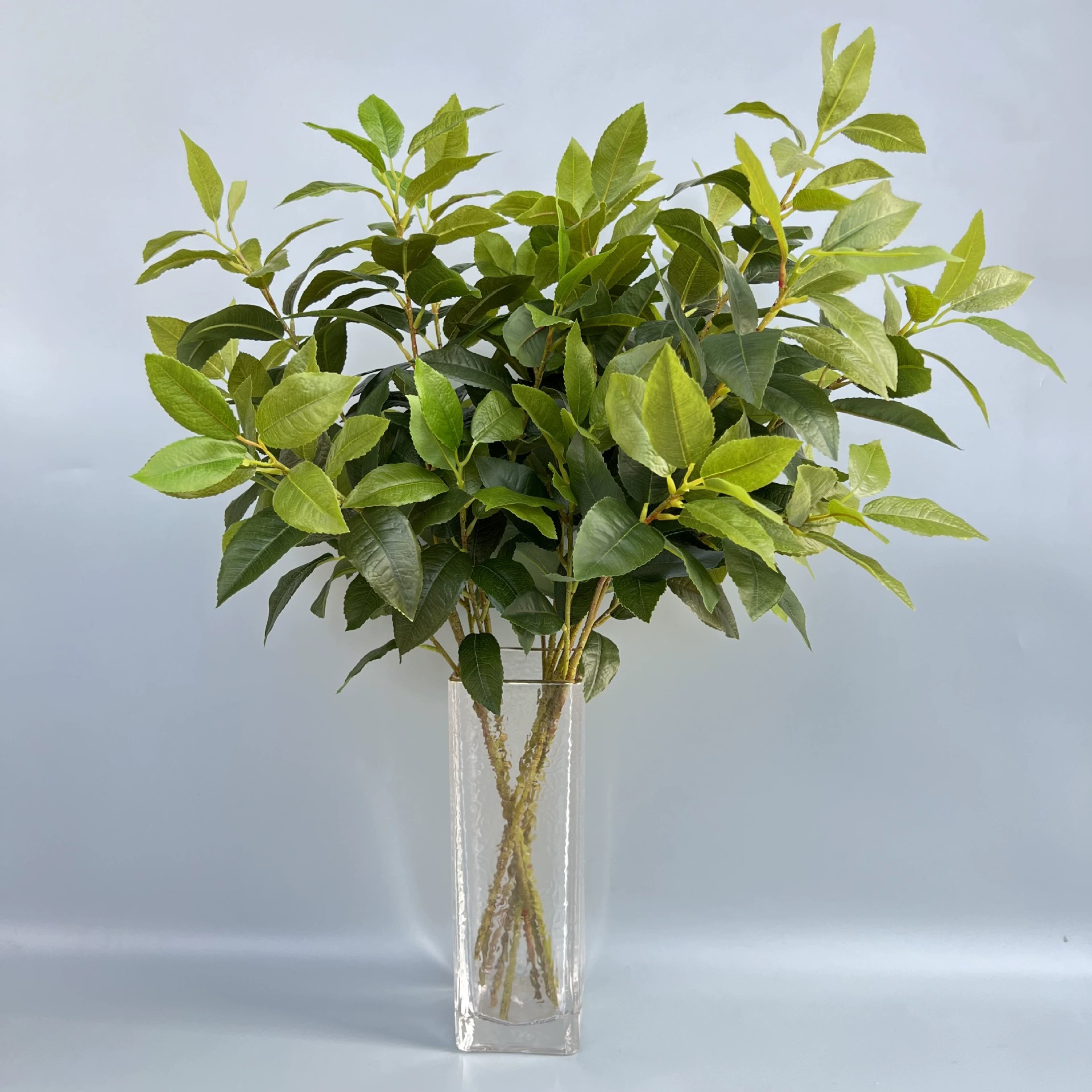 Моделирование листьев османтуса Чайный цветок Лист Поддельная ветка Почувствуй лист Сад Зеленый пейзаж Украшение Моделирование Зеленое растение Зеленые листья