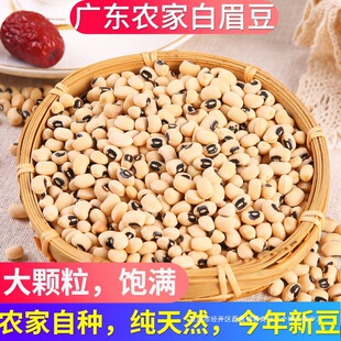 ��ü��500g�V�|�r���ԷN�׸׶��׶�����N���Ҝ����r��؛�ɶ�