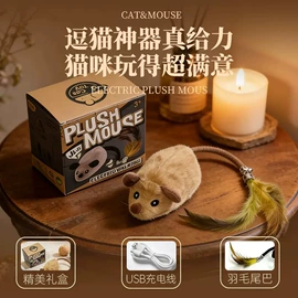 感应玩具;圣诞装饰品;积木类