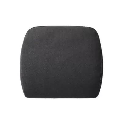 Chair back anti-kick pad for Tesla Model Y/3/S/X - tesla-model-1-lumbar-support-black