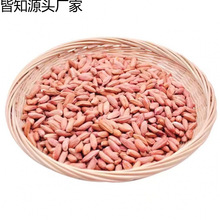 ɽ�|�T�����׸ɰTС���������r�T������С�������ʰT����