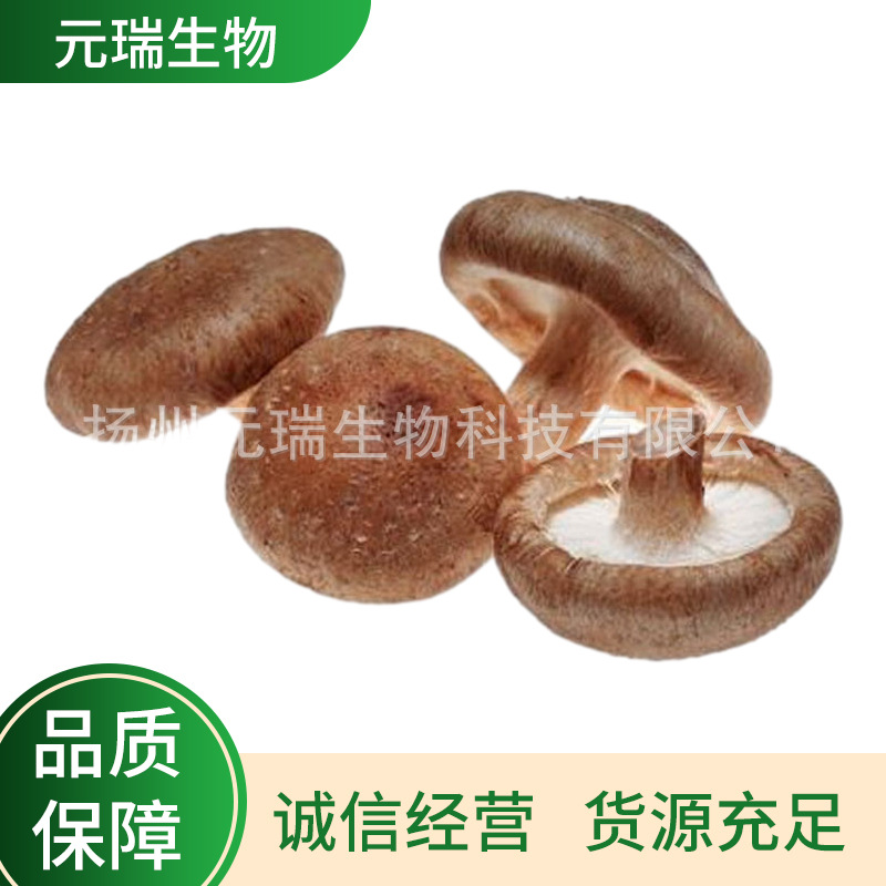 扬州厂家直供植物提取物香菇提取物棕色香菇粉末适用于医药行业