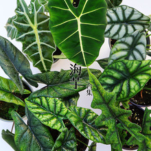 Gֲ҃͟^~ֲŮϬţħRS~~~ l