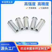 ̼�ͨ�׉��T�����h���價��Ƙ�׼�����T��ĸ��BSO-M2*5-55MM