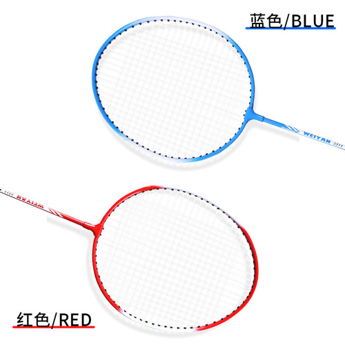Wuyan Badminton Racket Set of 2 for Adults Students Recreation Practice Durable for Beginners, Separate for Men and Women
