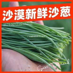 �خa���r�߲����r������ɳ�[��ɳ�[���C��S5���ڿ��f�Fժ�b���b