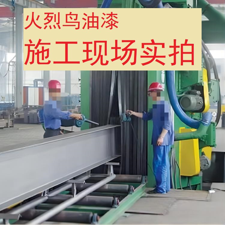 火烈鸟油漆 施工现场实拍