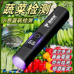 新型紫光灯農薬残留検出器紙幣検査灯家庭用海鮮野菜果物UV硬化タバコ酒検査