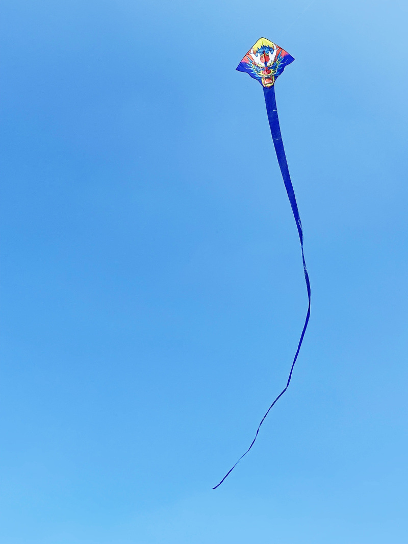 XY龙宽183高148尾巴1800厘米 (1).jpg