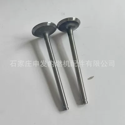 Valves and components 6CT intake valve