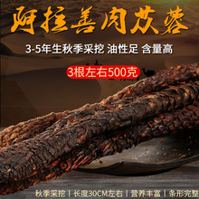 �F؛�F؛��ɐ����ș�İ����ƹٷ���Ş����ƷҰ�����ɹ��ؼ����ٰl