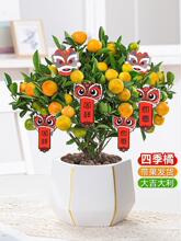 ��ۘ������҃��̨�͏d�ļ���ؔ�������Ժ��B�Gֲ����ϲ�c������