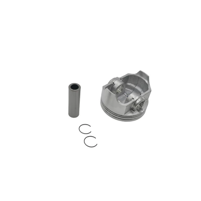 Engine Parts Kawasaki: Piston, piston ring, piston pin