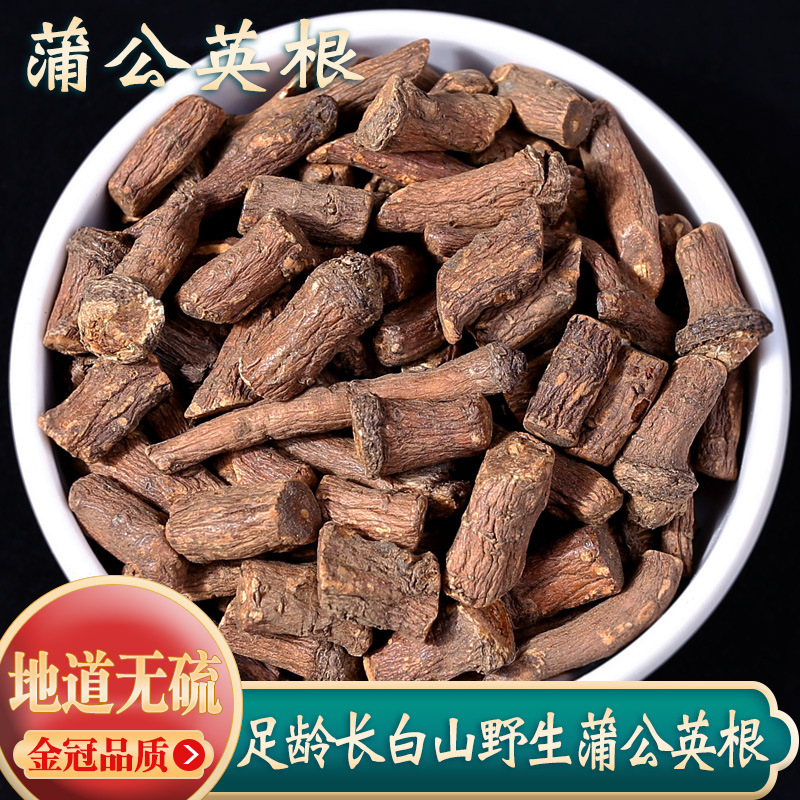 蒲公英根材野生500g天然东北长白山新鲜干蒲公英根茶大根|undefined