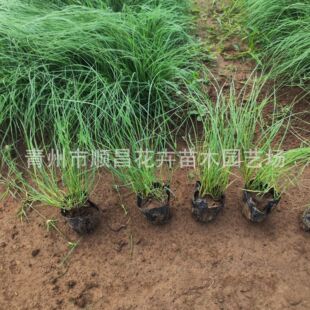 Ұţ�ݱ���������l �������^�p����Ұţ���ļ��L���ͺ��ͺ���ƺ