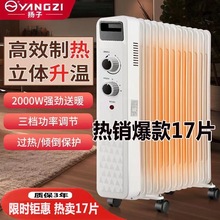 油汀取暖器電暖器家用客廳卧室13片15片17片電熱油汀省電暖全屋