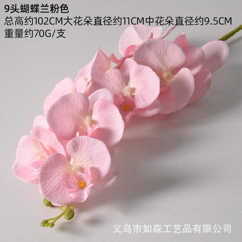9 phalaenopsis de seda rosa