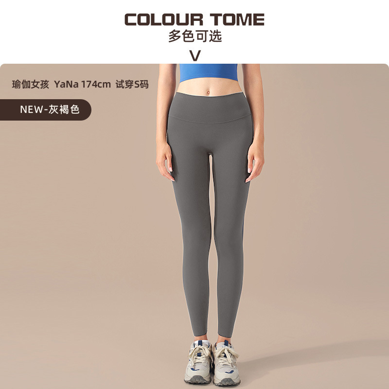 회갈색회갈색