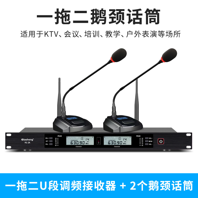 Micrófono inalámbrico TMD/Tengmandi de doble canal FM U-band Bluetooth para cantar, conferencias, KTV, verdadera diversidad