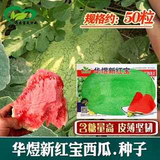 西瓜种子 农田菜园早中熟甜绿皮皮薄脆甜多汁大西瓜种子 蔬菜种子