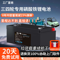 宁德电芯电动车锂电池大功率48V60V72V三轮四轮车通用大容量电瓶