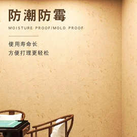 生态稻草漆膏状肌理灰泥乡村民宿服装店背景室内外批刮涂料艺术漆