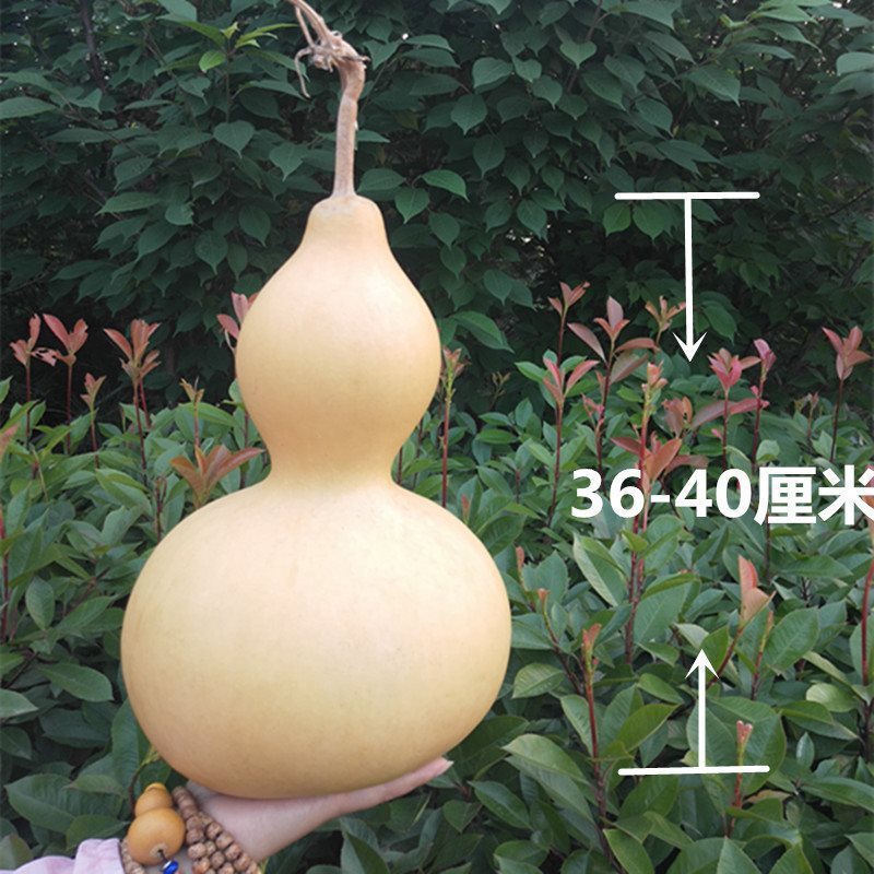 天然葫芦挂件家居饰品特大葫芦摆件带龙头店铺室内悬挂文玩小葫芦|undefined