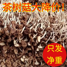 ذ]ﲻ_乽bҜ۷ǽ乽