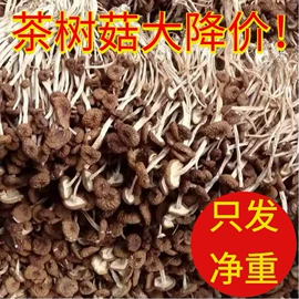 银耳;香菇;其他干货