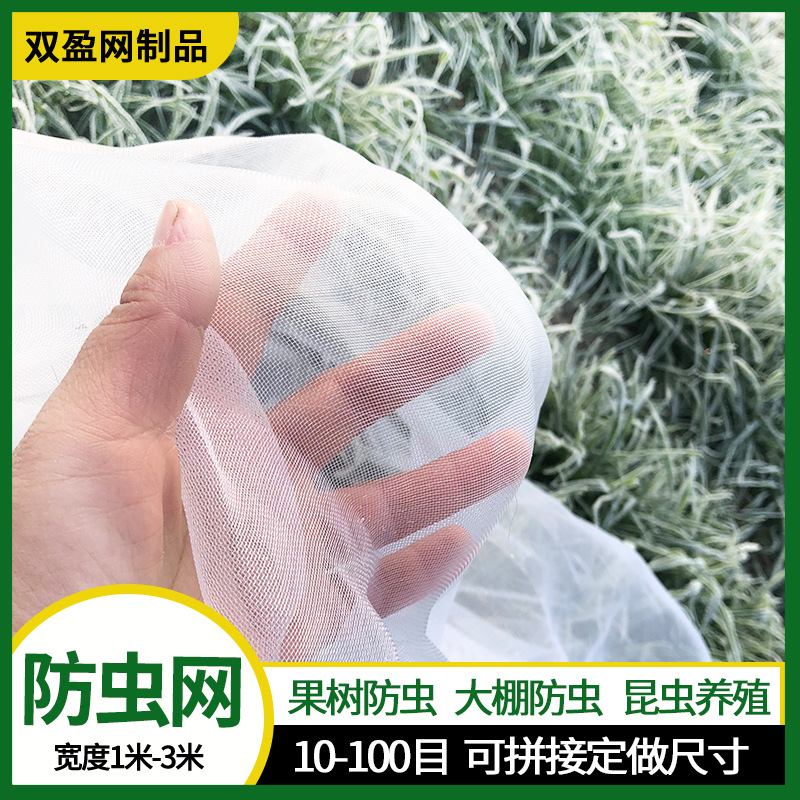 厂家供应大棚防虫网蔬菜果树养猪场防蚊蝇网白粉虱80目防虫网