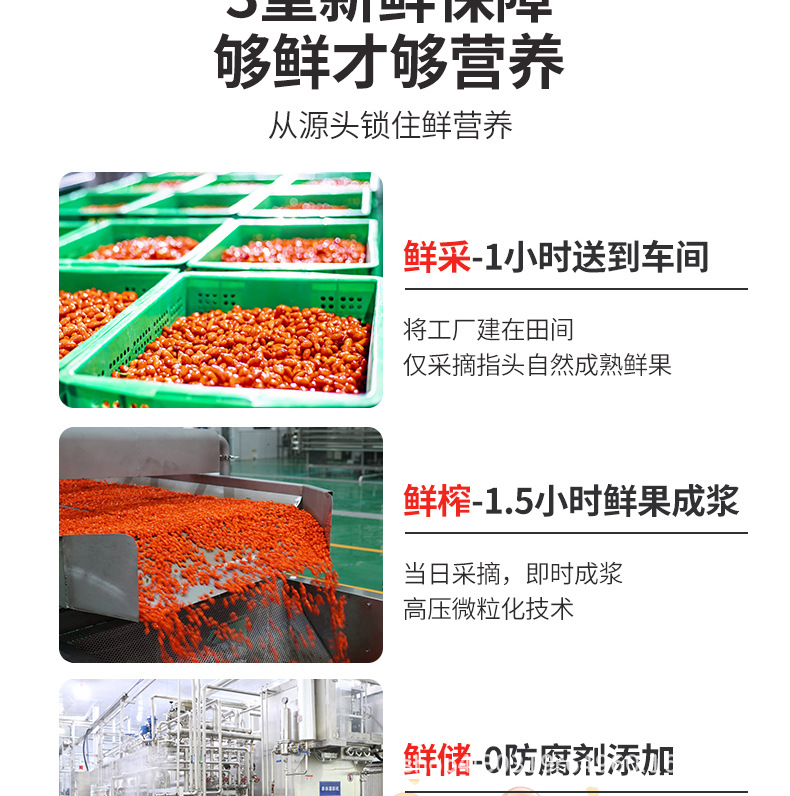 Goji Berry NFC Juice Concentrate Ningxia Fresh Wolfberry Drink 500ml specifications