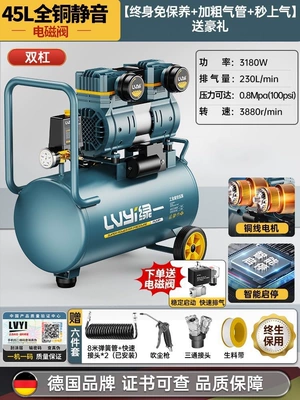 compressor, small 220V portable — Hava kompressorları - 45ldual-solenoid-valves-intelligent-start-stopluxury-model