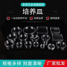 试管、滴管;其他实验室品;载玻片