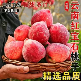 块茎类;瓜果类;其他蔬菜