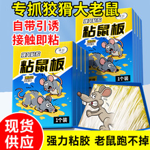 �ɰ�ճ�������ճ�����zճ����������N��׽���������ò�������xs