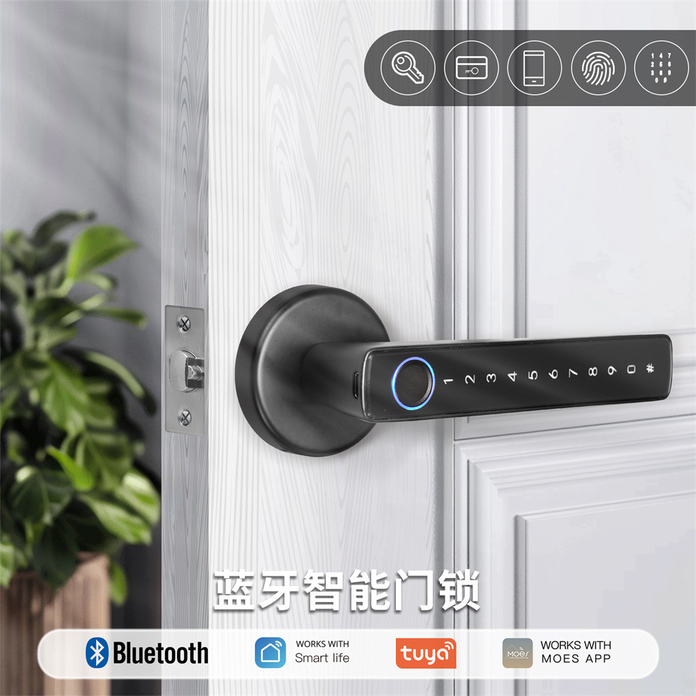 蓝牙智能指纹锁涂鸦智能APP远程密码解锁酒店公寓办公室出租房