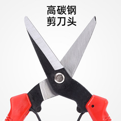 Blackened long-handled garden shears, landscaping scissors, pruning shears, fruit-picking shears, branch-shaping shears, flower-cutting shears, fruit-and-vegetable shears, and thinning shears for branches.
