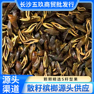 S�͙���ɢ�ѾW�t�������̶���Ӻ����خa�b������ƏS��ֱ�N