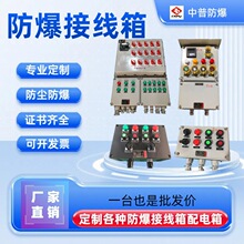 防爆接线箱端子箱铝合金报警端子分线箱分线盒控制箱