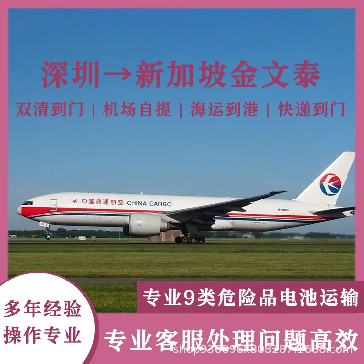 Тройная литиевая батарея Шэньчжэнь в Сингапур