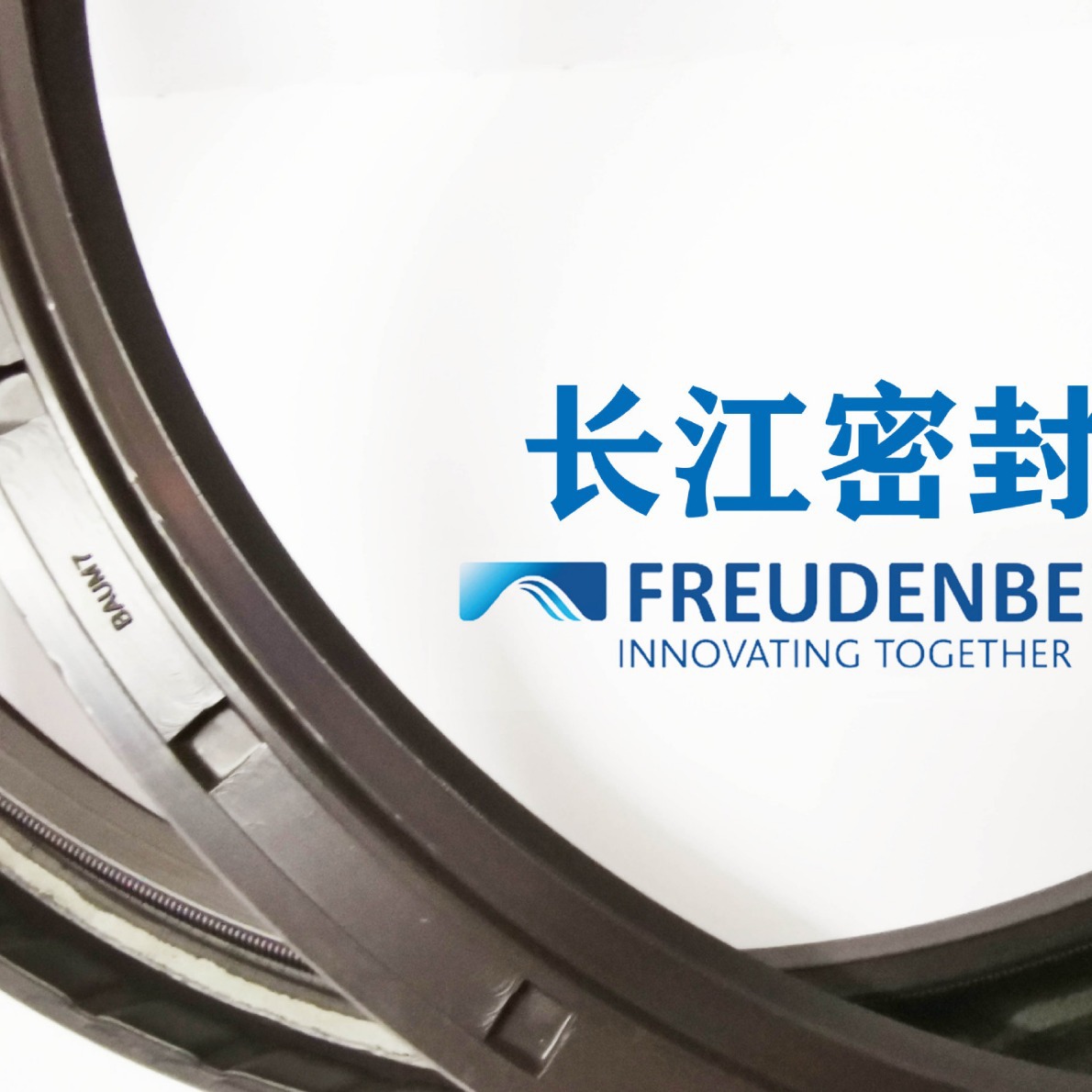 BAUM7SLX7 240-270-15 170-200-15 cfw氟橡胶德国SIMRIT骨架油封